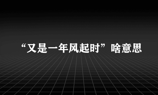 “又是一年风起时”啥意思