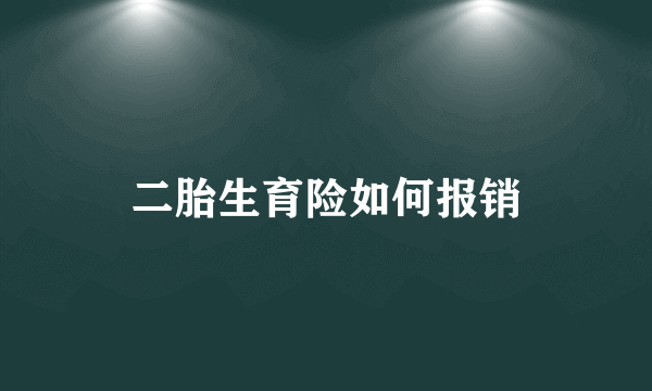 二胎生育险如何报销