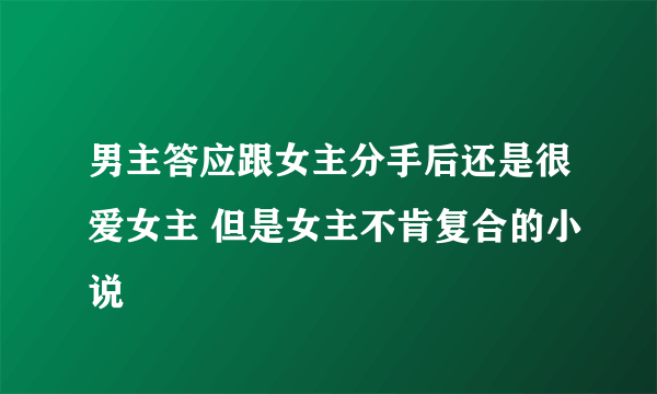 男主答应跟女主分手后还是很爱女主 但是女主不肯复合的小说