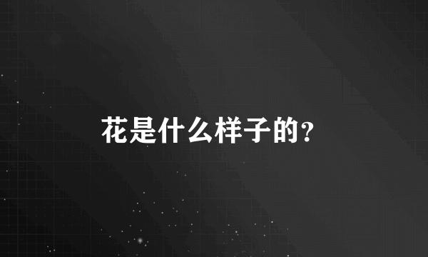 花是什么样子的？