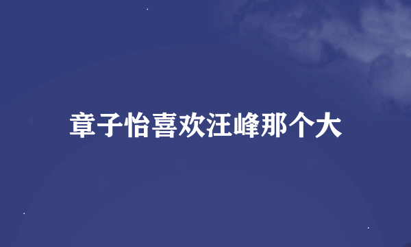 章子怡喜欢汪峰那个大