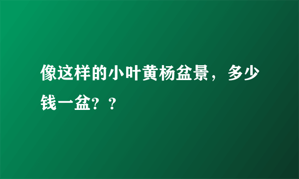 像这样的小叶黄杨盆景，多少钱一盆？？