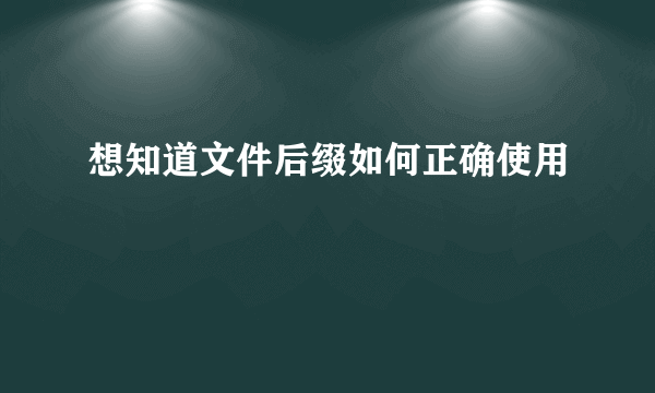 想知道文件后缀如何正确使用