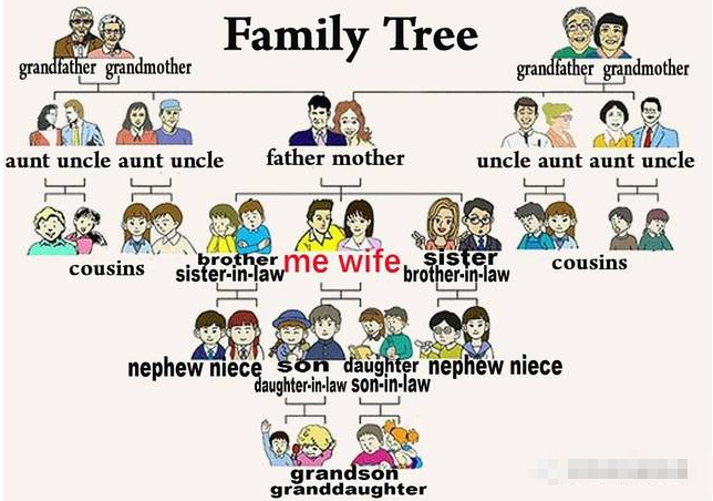 找28个关于亲戚的英语单词~~~100悬赏!!!!!!!