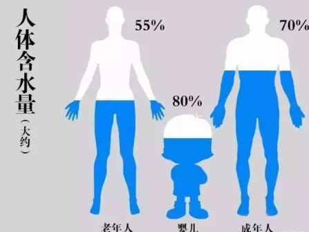 人体含水量百分比最高的器官是哪个？