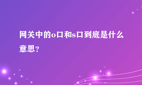 网关中的o口和s口到底是什么意思？