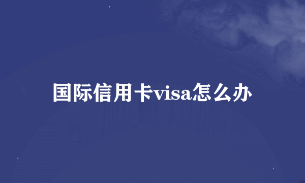 国际信用卡visa怎么办