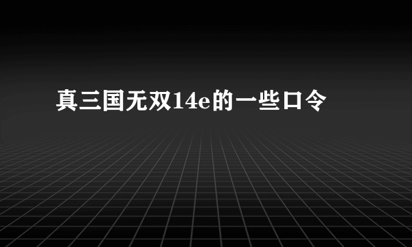 真三国无双14e的一些口令