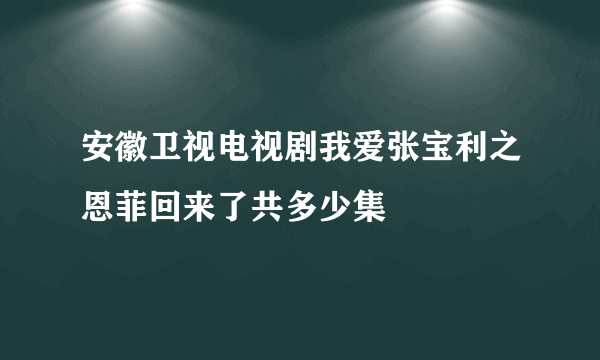 安徽卫视电视剧我爱张宝利之恩菲回来了共多少集