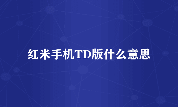 红米手机TD版什么意思