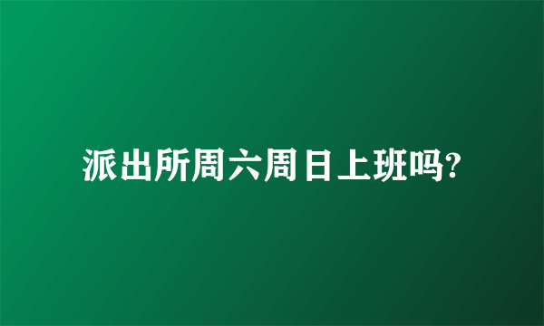 派出所周六周日上班吗?