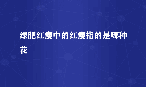 绿肥红瘦中的红瘦指的是哪种花