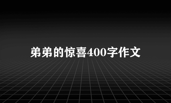 弟弟的惊喜400字作文