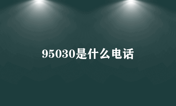 95030是什么电话