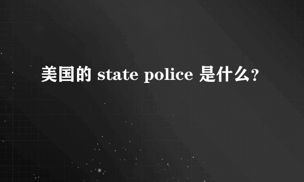 美国的 state police 是什么？