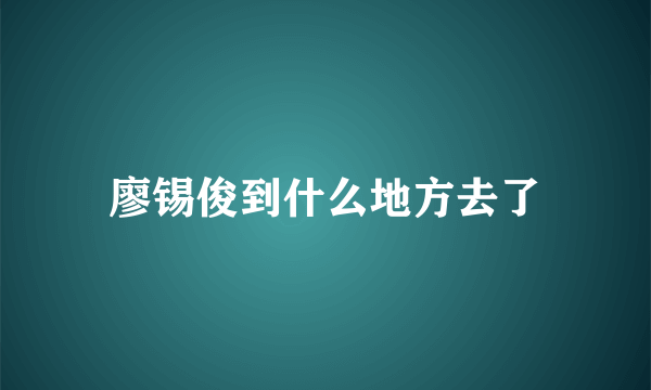 廖锡俊到什么地方去了