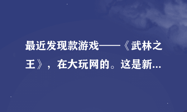 最近发现款游戏——《武林之王》，在大玩网的。这是新游吗？谁玩啊？