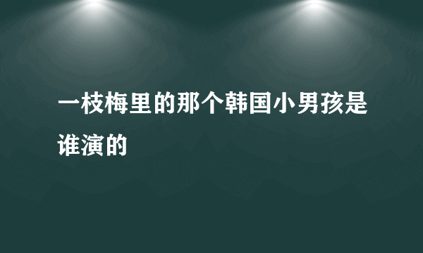 一枝梅里的那个韩国小男孩是谁演的