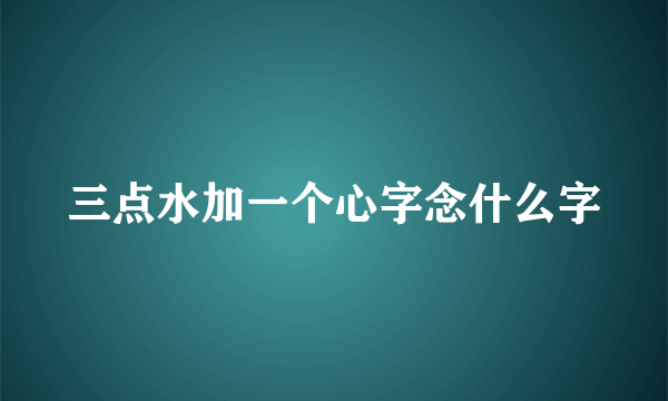 三点水加一个心字念什么字