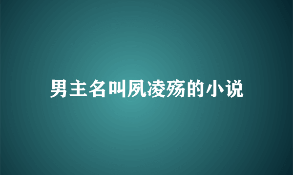 男主名叫夙凌殇的小说