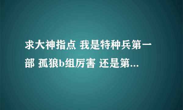 求大神指点 我是特种兵第一部 孤狼b组厉害 还是第二部红细胞特别行动小组厉害 还是第三部 火凤