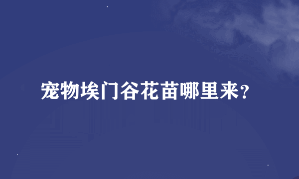 宠物埃门谷花苗哪里来？