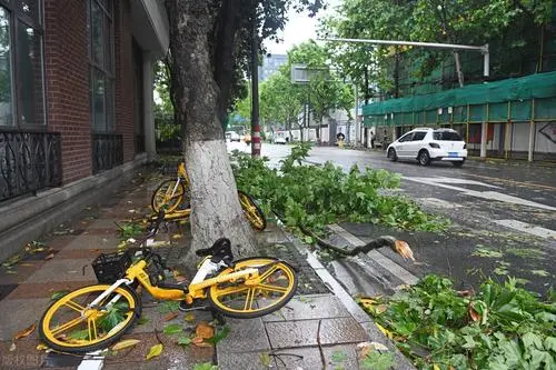 武汉吊篮撞楼遇难工人家属发声引热议，此事有哪些蹊跷之处？