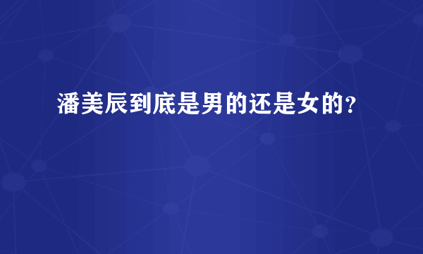 潘美辰到底是男的还是女的？