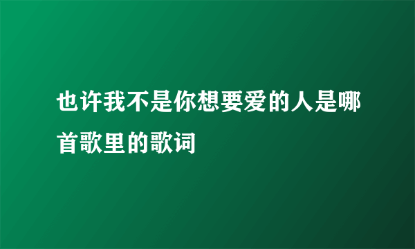 也许我不是你想要爱的人是哪首歌里的歌词