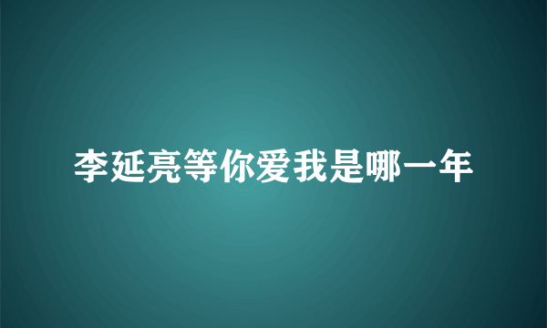 李延亮等你爱我是哪一年