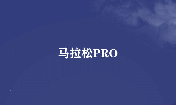 马拉松PRO