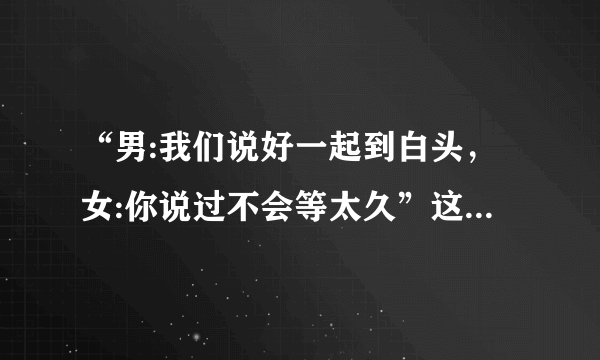 “男:我们说好一起到白头，女:你说过不会等太久”这句歌词出自哪首歌