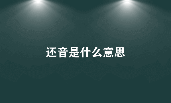 还音是什么意思