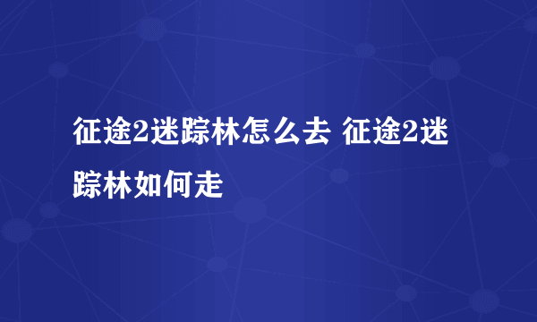 征途2迷踪林怎么去 征途2迷踪林如何走