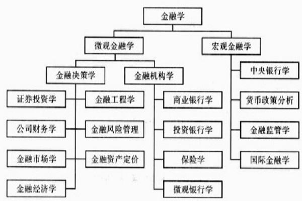 金融管理主要学什么