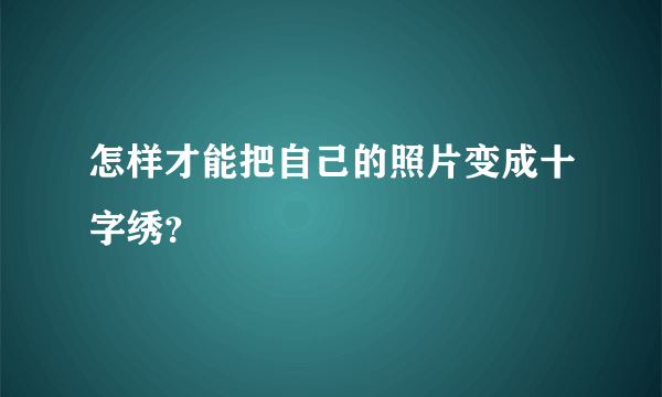 怎样才能把自己的照片变成十字绣？