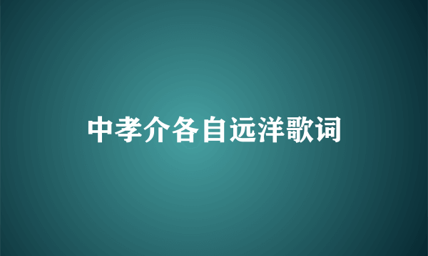 中孝介各自远洋歌词