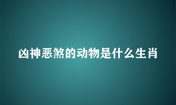 凶神恶煞的动物是什么生肖