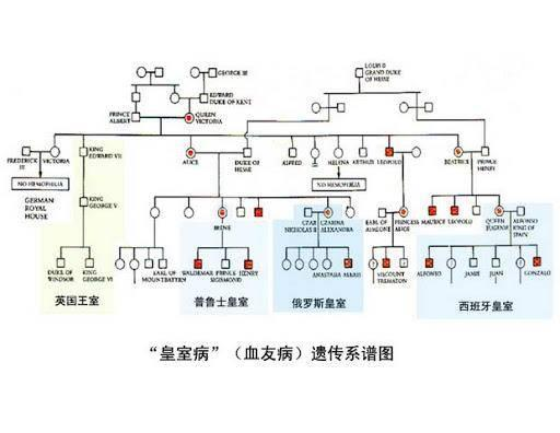 人类为什么要让动物回交，回交有什么好处吗？