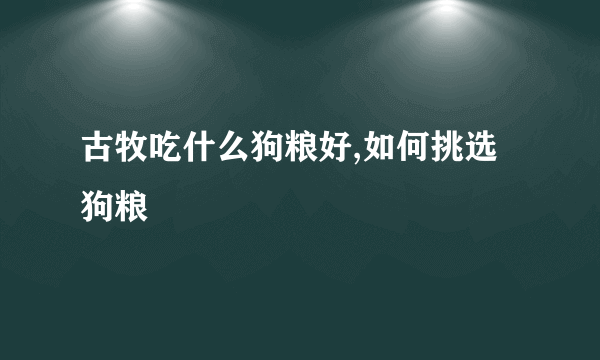 古牧吃什么狗粮好,如何挑选狗粮