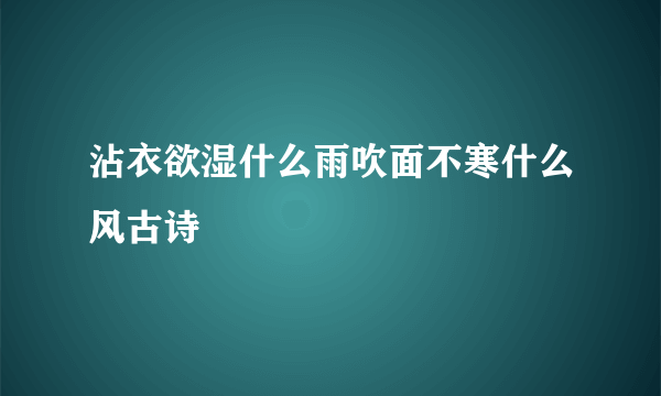 沾衣欲湿什么雨吹面不寒什么风古诗