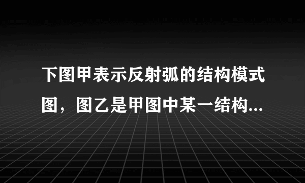 下图甲表示反射弧的结构模式图，图乙是甲图中某一结构的亚显微结构模式图．据图回答：（1）图中的f表示的