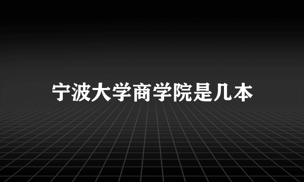 宁波大学商学院是几本