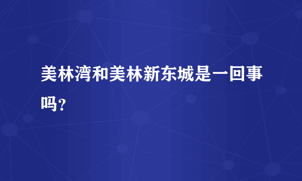 美林湾和美林新东城是一回事吗？