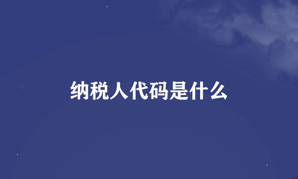 纳税人代码是什么