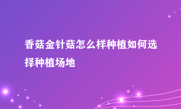 香菇金针菇怎么样种植如何选择种植场地