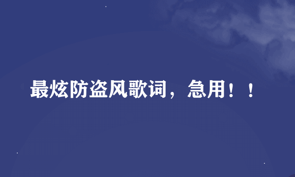 最炫防盗风歌词，急用！！