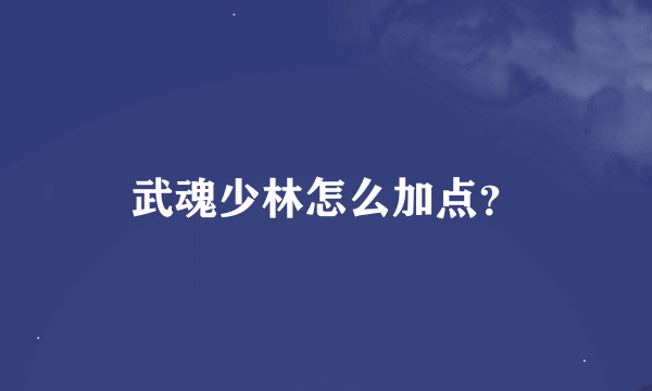 武魂少林怎么加点？