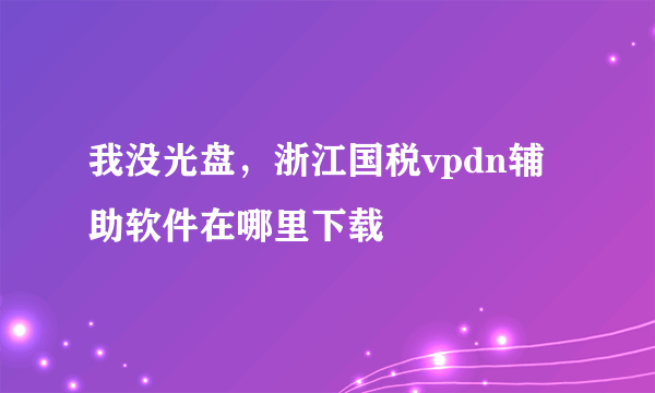 我没光盘，浙江国税vpdn辅助软件在哪里下载