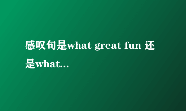 感叹句是what great fun 还是what a great fun? 为什么？